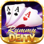 park rummy 51 bonus icon