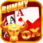 rummy only app
